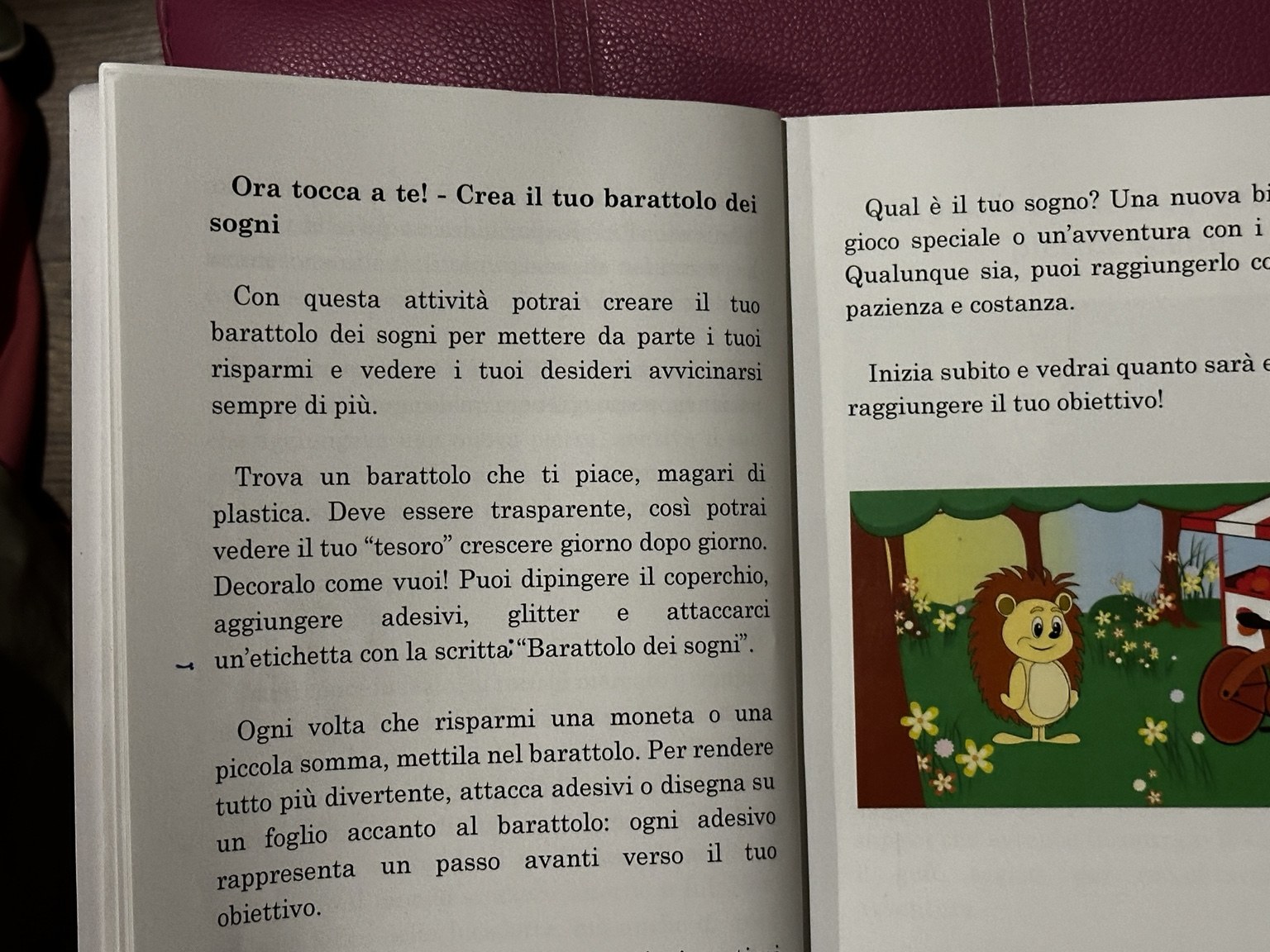 Il barattolo dei sogni nel libro Ric il Riccio